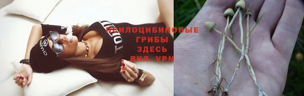 a pvp Козельск