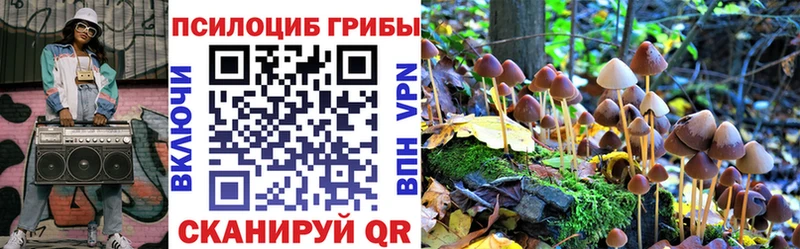 ОМГ ОМГ ONION сайты даркнета как зайти Псилоцибиновые грибы мухоморы Кинешма