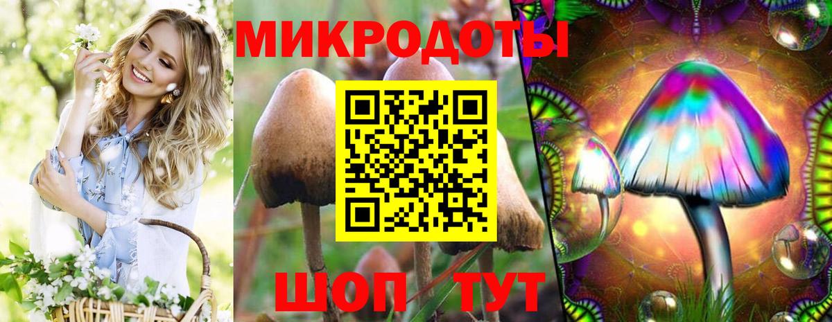 Псилоцибиновые грибы мухоморы  Вход с VPN  Галлюциногенные грибы Psilocybe  Кинешма 