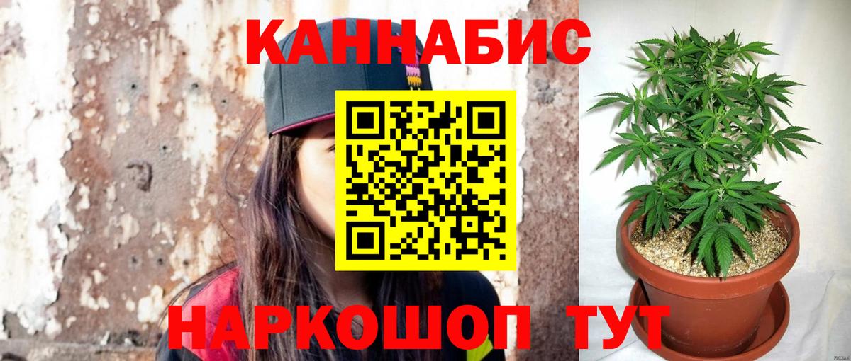 Конопля Bruce Banner Кинешма